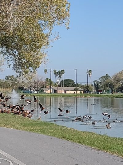 Kennedy Park - San Benito, TX
