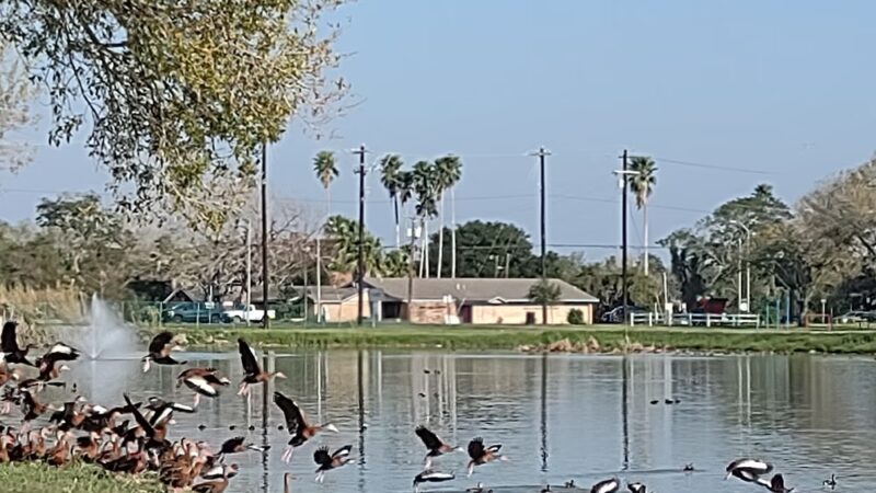 Kennedy Park - San Benito, TX