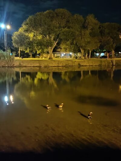 Kennedy Park - San Benito, TX