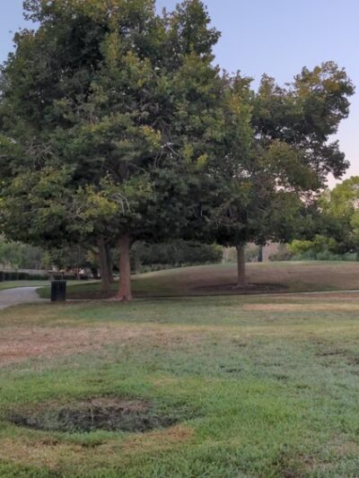 Lionel E. Hudson Park - San Bernardino, CA