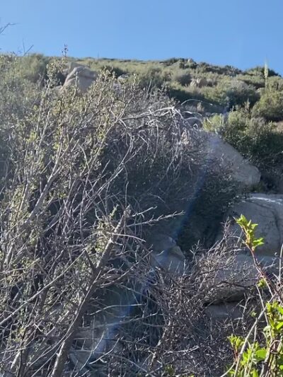 Northshore Trailhead - San Bernardino, CA