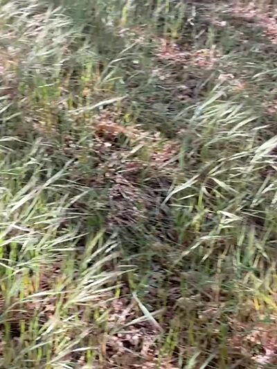 Northshore Trailhead - San Bernardino, CA