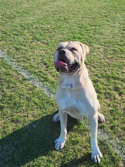 Paakuma' Park - San Bernardino, CA