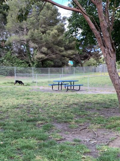 Commodore Dog Park - San Bruno, CA