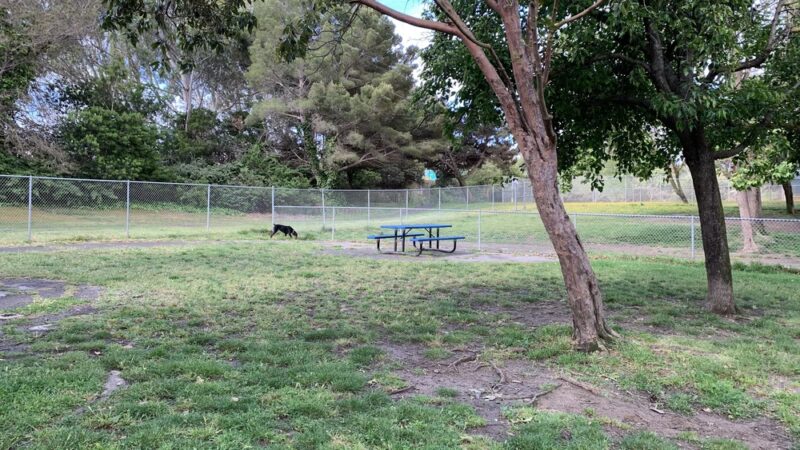 Commodore Dog Park - San Bruno, CA