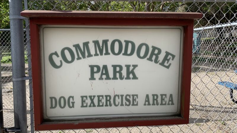Commodore Dog Park - San Bruno, CA