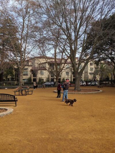 City Hall Dog Park - San Carlos, CA