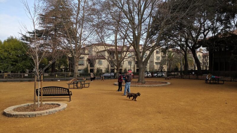 City Hall Dog Park - San Carlos, CA