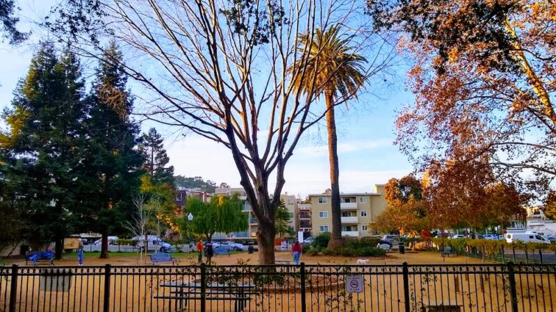 City Hall Dog Park - San Carlos, CA