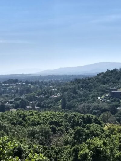 Dog Park | Heather School - San Carlos, CA