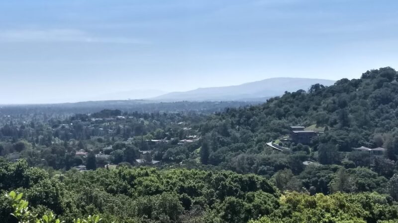 Dog Park | Heather School - San Carlos, CA
