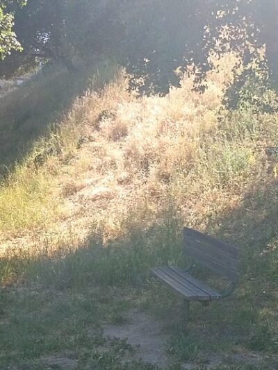 Dog Park | Heather School - San Carlos, CA