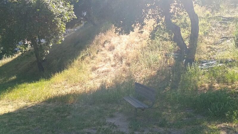 Dog Park | Heather School - San Carlos, CA