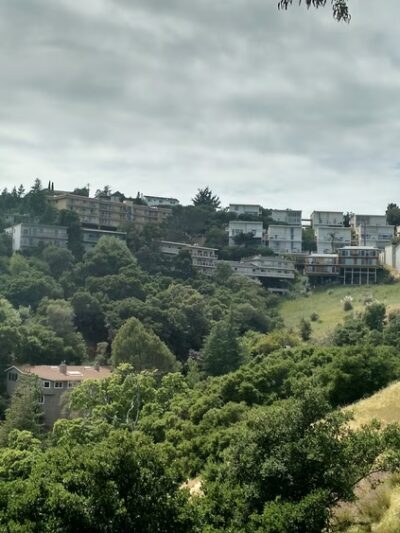Dog Park | Heather School - San Carlos, CA