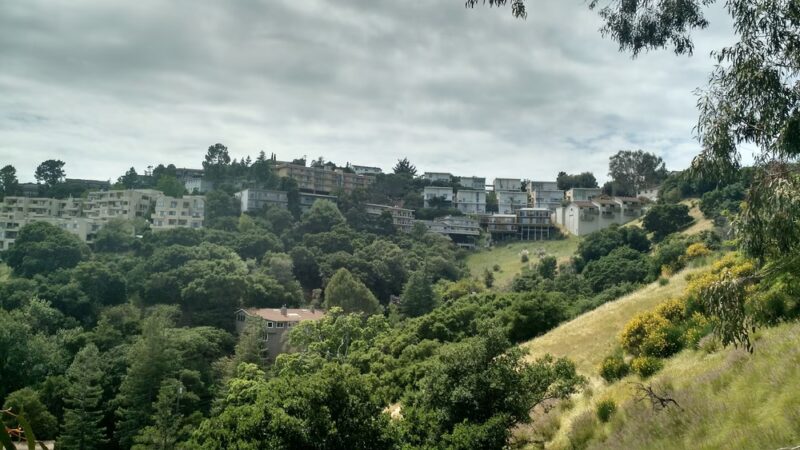 Dog Park | Heather School - San Carlos, CA