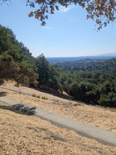 Dog Park | Heather School - San Carlos, CA