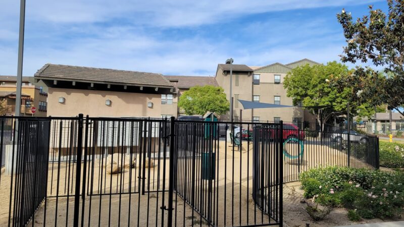 Dog Park - San Diego, CA