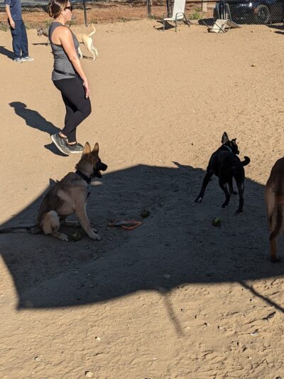 Dog Park - San Diego, CA