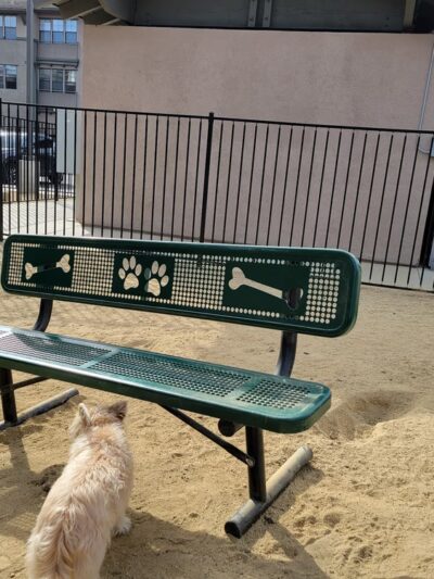 Dog Park - San Diego, CA