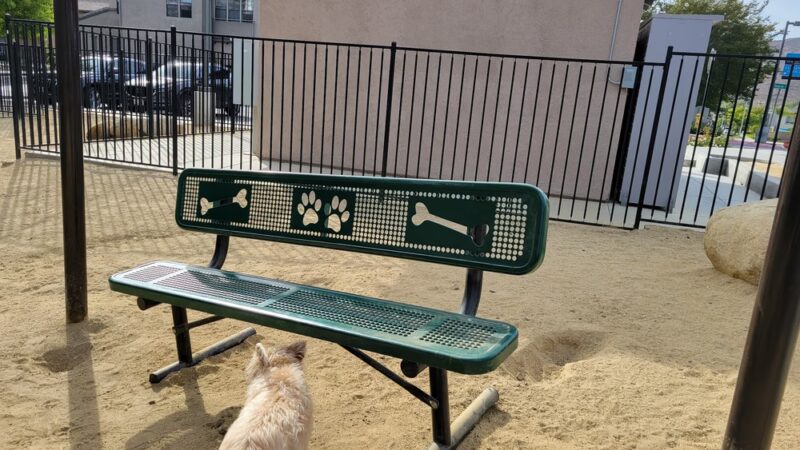 Dog Park - San Diego, CA