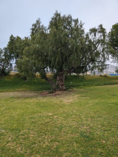 Gompers Park - San Diego, CA