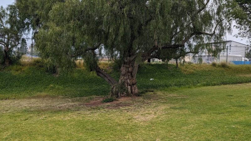 Gompers Park - San Diego, CA