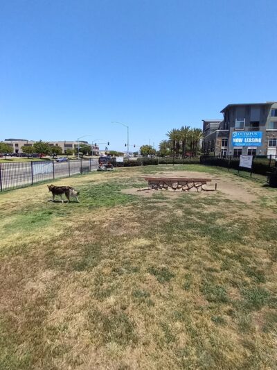 Lucy’s Dog Park - San Diego, CA