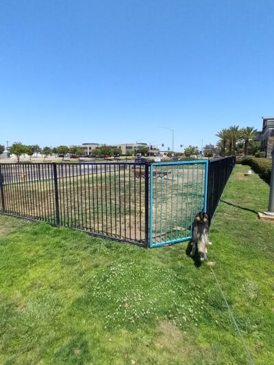 Lucy’s Dog Park - San Diego, CA