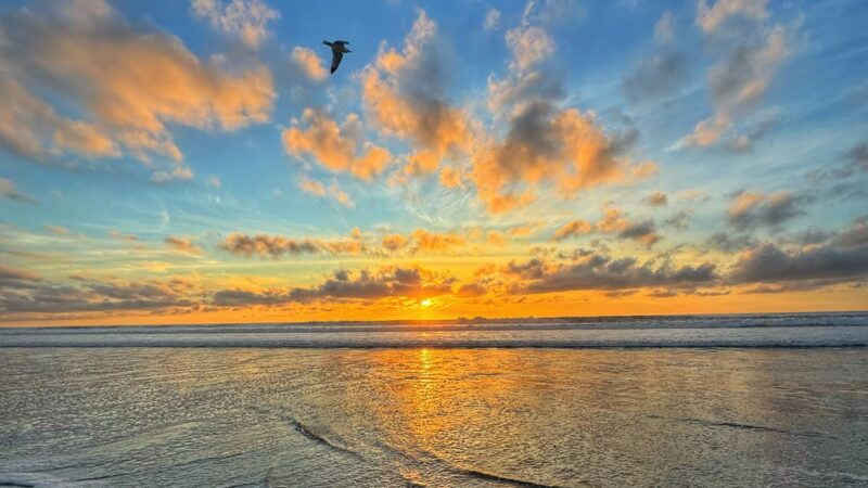 Pacific Beach Park - San Diego, CA