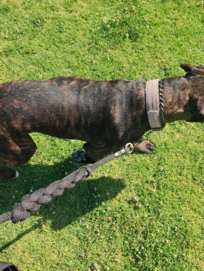 Alcott Park - San Diego, CA