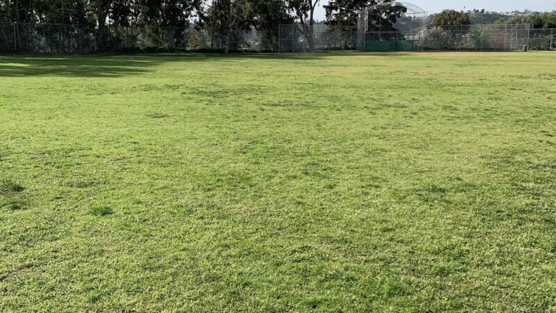 Alcott Park - San Diego, CA