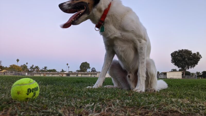 Alcott Park - San Diego, CA