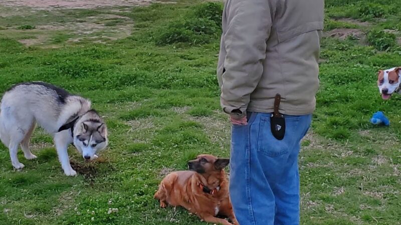 Alcott Park - San Diego, CA