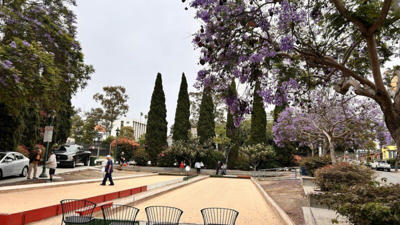 Amici Park - San Diego, CA