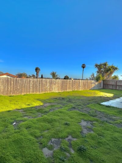 Anna’s Dog Haven - San Diego, CA