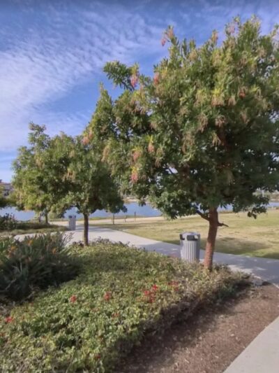 Bay Park - San Diego, CA