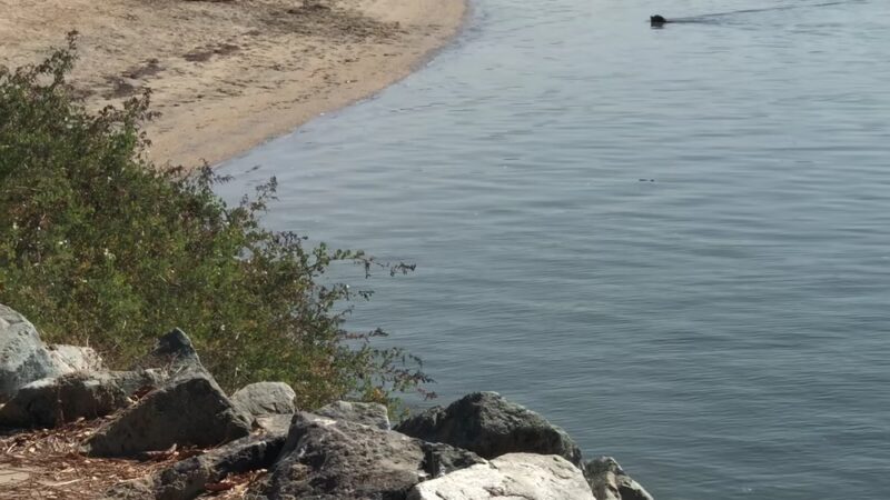 Bay Park - San Diego, CA