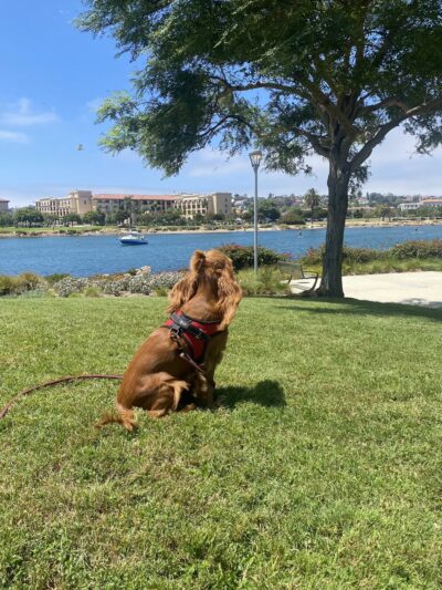 Bay Park - San Diego, CA