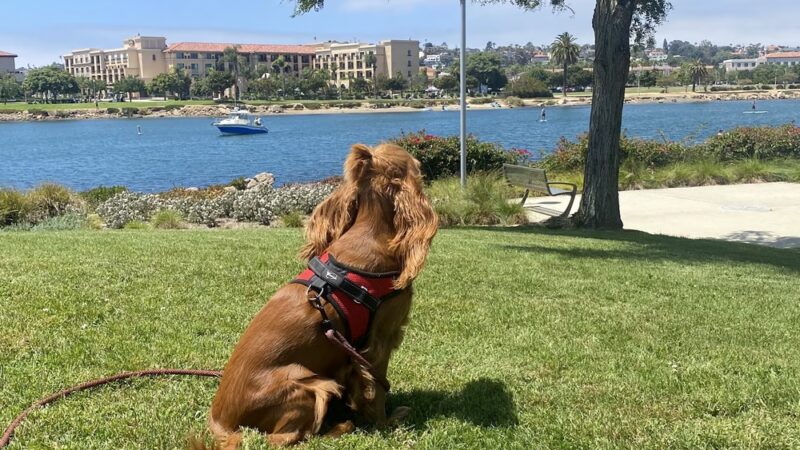 Bay Park - San Diego, CA