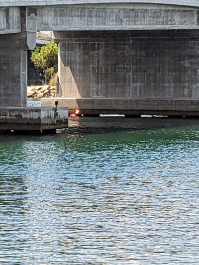 Bay Park - San Diego, CA