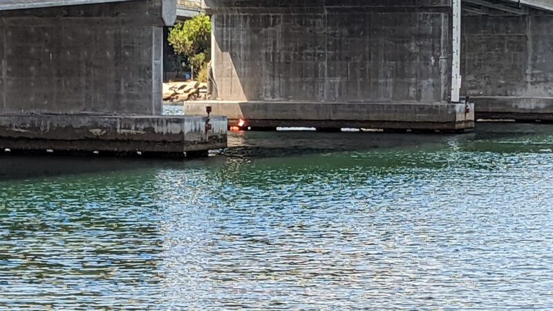 Bay Park - San Diego, CA