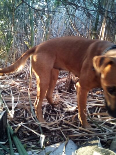 Boone Park - San Diego, CA