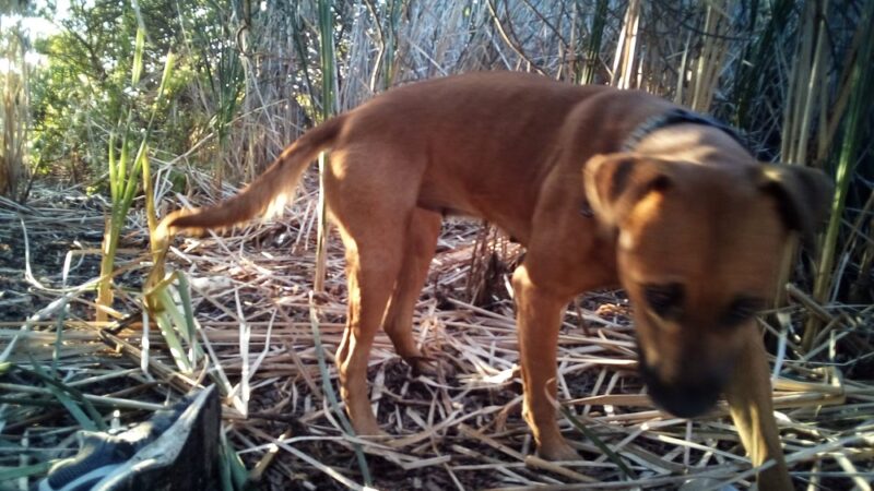 Boone Park - San Diego, CA