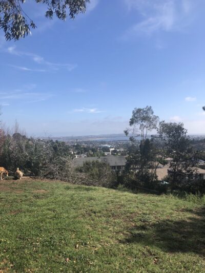 Cadman Park - San Diego, CA