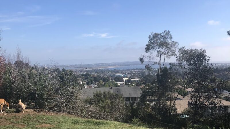 Cadman Park - San Diego, CA