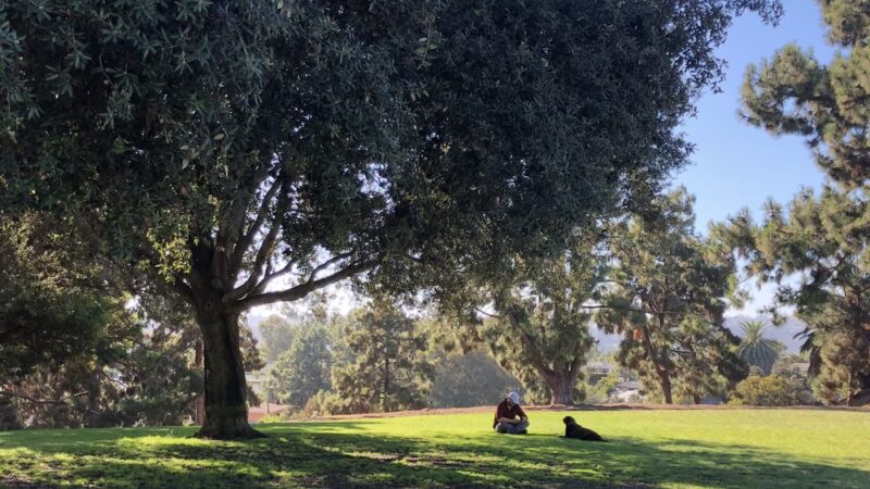 Cadman Park - San Diego, CA