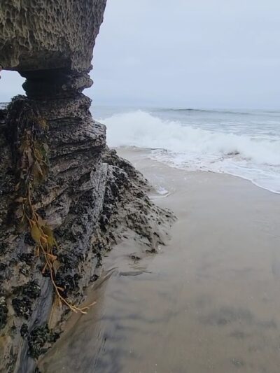 Casablanca Cove - San Diego, CA