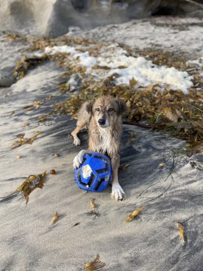 Casablanca Cove - San Diego, CA
