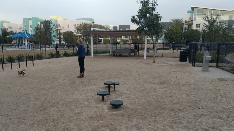 Centrum Dog Park - San Diego, CA