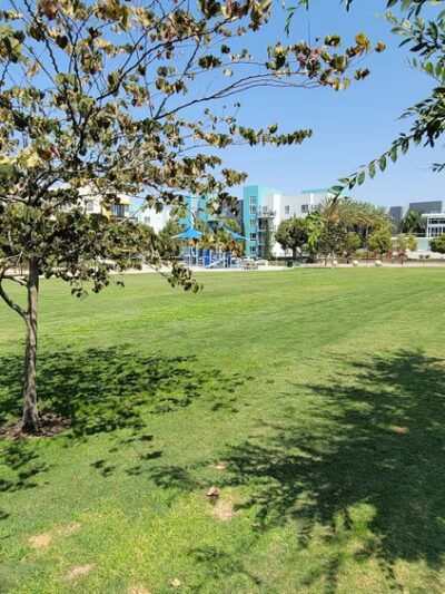 Centrum Dog Park - San Diego, CA